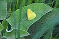 19 08 13_7045_edited-1